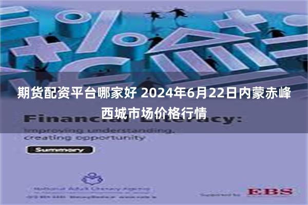 期货配资平台哪家好 2024年6月22日内蒙赤峰西城市场价格行情