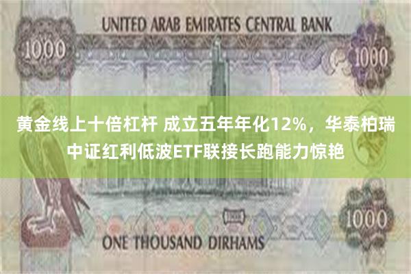 黄金线上十倍杠杆 成立五年年化12%，华泰柏瑞中证红利低波ETF联接长跑能力惊艳