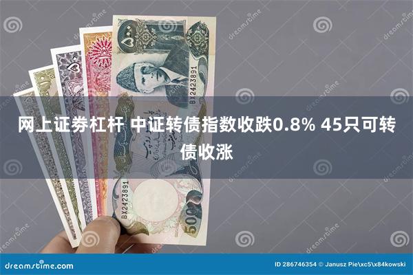 网上证劵杠杆 中证转债指数收跌0.8% 45只可转债收涨