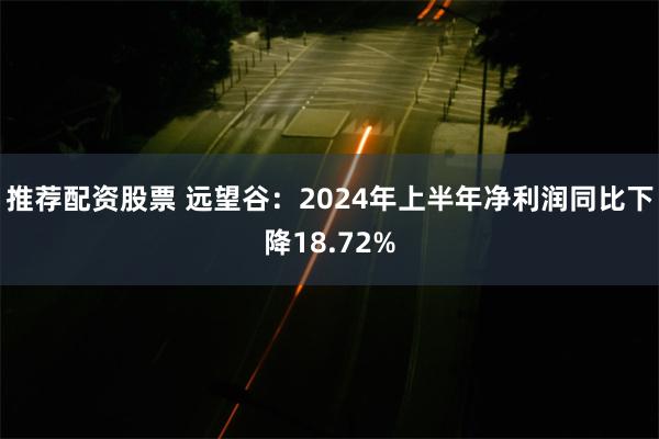 推荐配资股票 远望谷：2024年上半年净利润同比下降18.72%