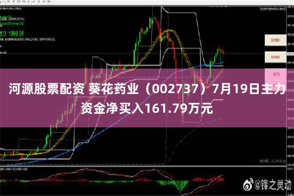 河源股票配资 葵花药业（002737）7月19日主力资金净买入161.79万元