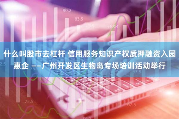 什么叫股市去杠杆 信用服务知识产权质押融资入园惠企 ——广州开发区生物岛专场培训活动举行