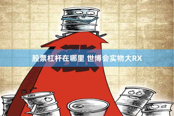 股票杠杆在哪里 世博会实物大RX