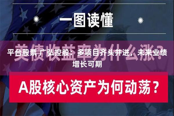 平台股票 广弘控股：多项目齐头并进，未来业绩增长可期