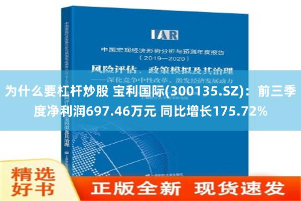 为什么要杠杆炒股 宝利国际(300135.SZ)：前三季度净利润697.46万元 同比增长175.72%