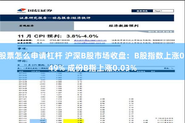 股票怎么申请杠杆 沪深B股市场收盘：B股指数上涨0.49% 成份B指上涨0.03%