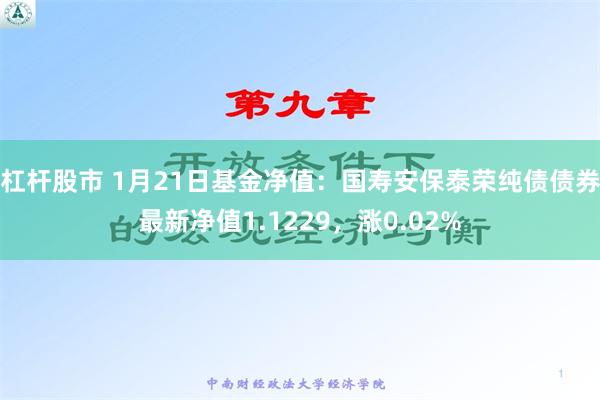 杠杆股市 1月21日基金净值：国寿安保泰荣纯债债券最新净值1.1229，涨0.02%