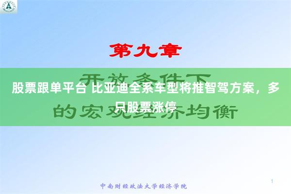 股票跟单平台 比亚迪全系车型将推智驾方案，多只股票涨停